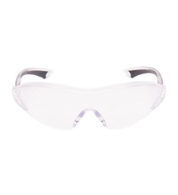 3M Safety Glasses 2840
