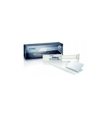 ADSEAL Root Canal Sealer / 13,5g